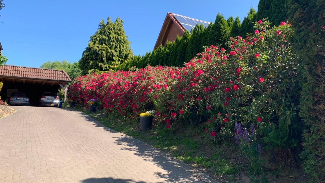 Ferienwohnung Schmidt Rosengarten  Esterno foto